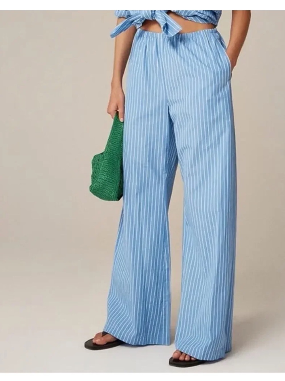 J.Crew Blue Cosmo Pant in Oxford Stripe
